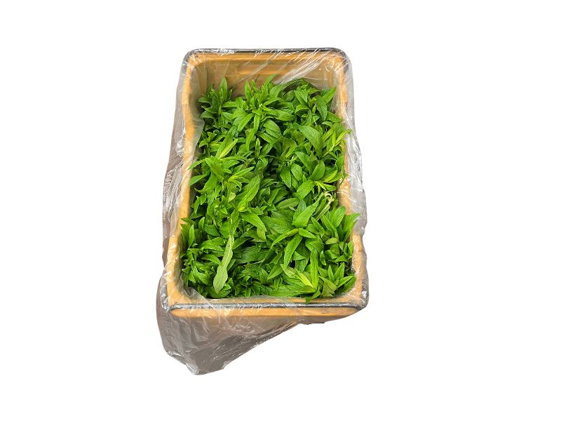 Clear HDPE Food Grade Carton Liners 600/400mm x 775mm 15um
